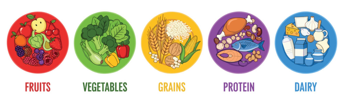 Healthy food groups on colorful plates vector showing balanced diet nutrition set