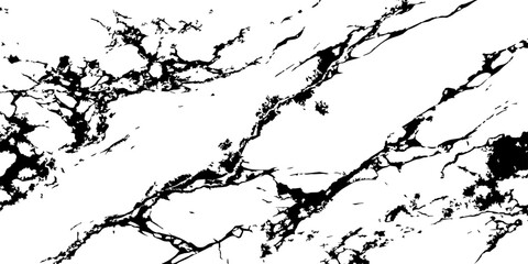 Fototapeta premium High contrast black and white marble crack texture abstract surface.