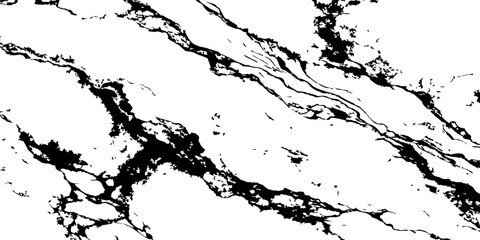 Fototapeta premium Black and white marble crack texture abstract stone background.