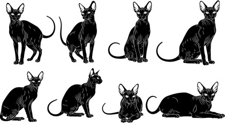 Set of black oriental shorthair cat silhouettes in various poses including sitting standing and lying down for pet feline animal design © Delowara