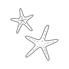 シンプルな手描きのヒトデ