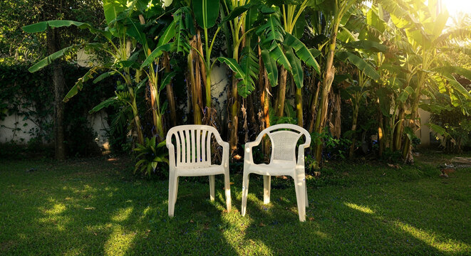 Two plastic chairs in a tranquil garden with banana trees and sunlight
