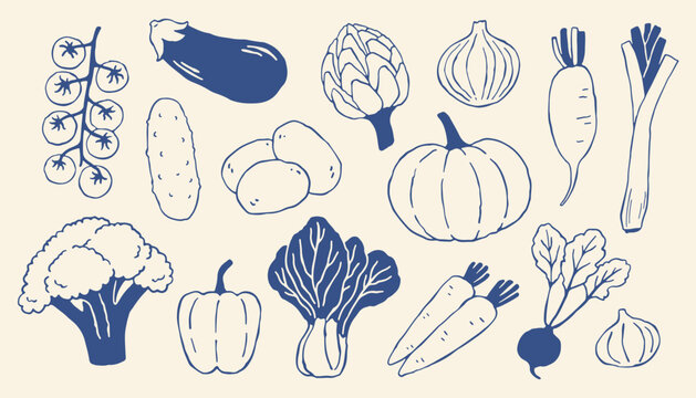 Hand drawn vegetable vector set in minimalist Mediterranean style. Organic food with eggplant, pumpkin, carrot, broccoli, perfect for packaging, menus, branding, poster, healthy lifestyle designs