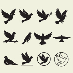 Obraz premium Collection of 12 elegant dove bird poses in clean flat vector style. Includes flying, landing, perched, standing, olive branch symbol, circular logo version, and minimal outline design.