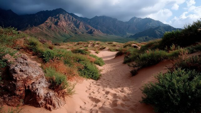Mountain Valley Path Scenic Travel Landscape