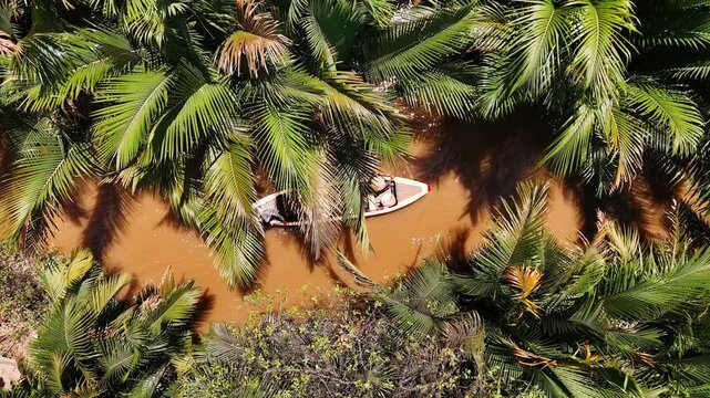 Aerial view of tourists in boat on the mekong river delta through a lush palm forest in vietnam, My tho