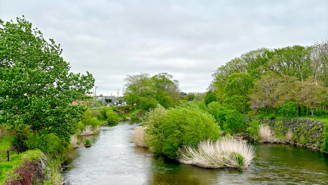 Crystal Clear River in Chitose Hokkaido Japan Lush Green Nature Landscape for Healing and Ecology