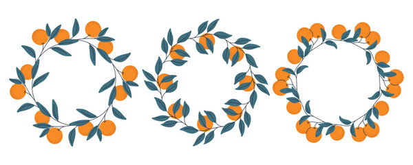 Fototapeta premium Collection of three Orange Fruit and blue Leaf Wreaths vector set