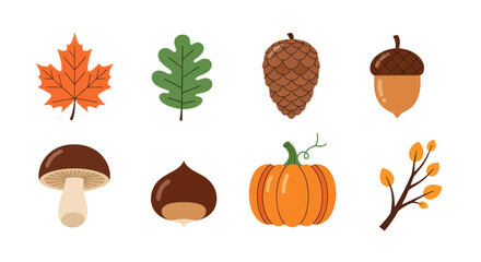 Autumnal foliage and harvest elements © Imam