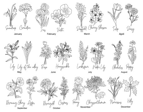 Set of Birth month flowers line art vector illustrations. Carnation, iris, daffodil, daisy, lily of the valley, violet, gladiolus, aster, marigold drawings for tattoo, logo, wall art.	