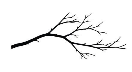 Delicate branch with intricate details a striking black silhouette © SAKINA