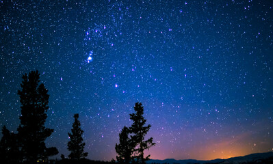 Naklejka premium Spectacular Deep Blue Night Sky with Myriad Stars Over Silhouetted Pine Trees and Distant Landscape
