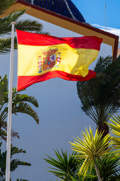 Spanish flag in wind with palm under blue sky showing national patriotism for summer travel in Benidorm Spain coastal destination vacation