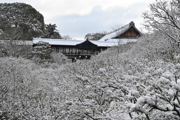 京都市東山区東福寺 通天橋の幻想的な冬景色	

