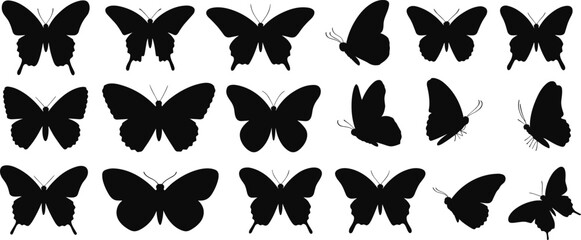 Assortment of Butterfly Silhouettes in Various Poses and Angles insect wing © ripon29