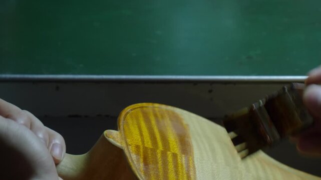 Luthier hands brushing golden amber varnish onto a violin or viola back plate, revealing the flaming and wood chatoyance with smooth layered strokes