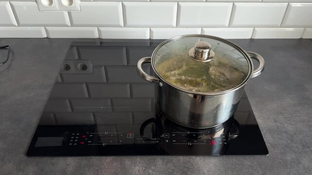 Operating a stainless steel stockpot with a heat-resistant glass lid. Close up of steam release and clear bouillon boiling on a sensor induction hob. Professional kitchenware and ergonomics.