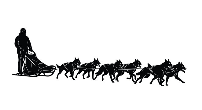 Musher driving black silhouette sled dogs team through snowy wilderness winter scene flat vector art isolated on white background