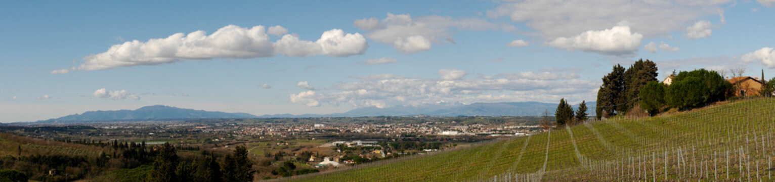 Italia, Toscana, provincia di Firenze, la campagna di Sammontana , Empoli.