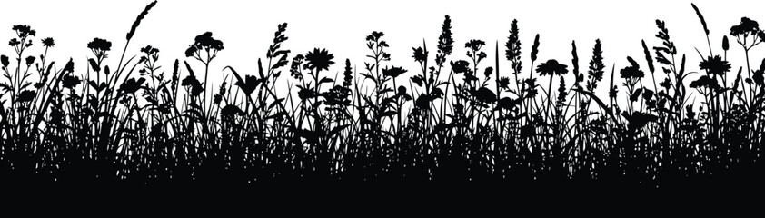 Obraz premium A long horizontal silhouette border of a dense meadow filled with various wildflowers and grasses, suitable for a bottom border design, a clean white background