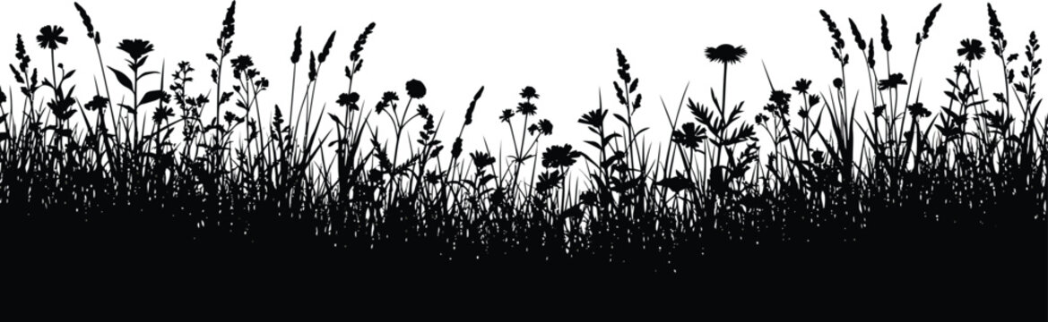 A long horizontal silhouette border of a dense meadow filled with various wildflowers and grasses, suitable for a bottom border design, a clean white background