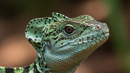 Fototapeta premium Green lizard, detailed close-up, textured skin, focused eye, natural habitat