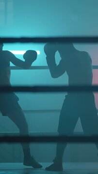 Intense Boxing Training and Fight: Professional Boxers Sparring in Ring, Close-up Portraits, Jumping Rope, Push-ups, and Cinematic Gym Workout Sessions with Athletic Men.