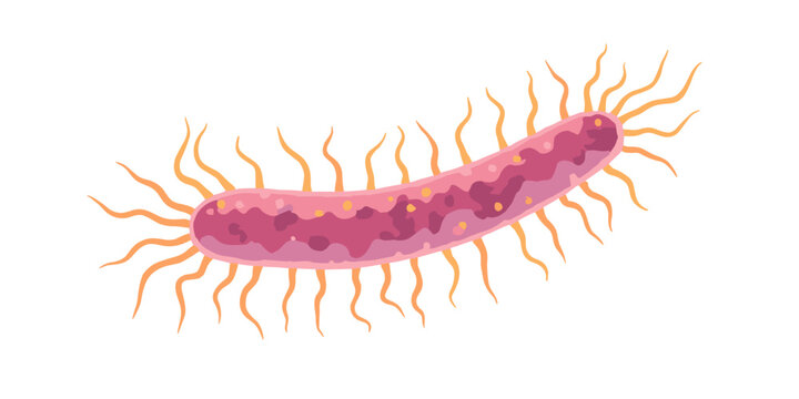 3D render Listeria monocytogenes white background Short, plump rods coccobacilli several thin, whiplike tails flagella sticking out randomly from sides ends