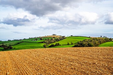 Fototapeta premium Colours of Devon Farms and Fields over Paignton and Berry Pomeroy, Totnes, England