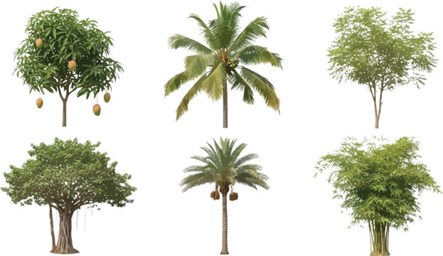 Set of tropical trees vector illustration, including mango, coconut, date palm, banyan, and bamboo, isolated on white background for design elements.
