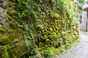 Obraz premium Moss-covered stone wall along a narrow street.. streets of the municipality of La Alberca, in Salamanca, SPAIN