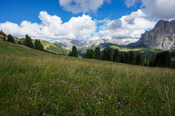 Fototapeta premium Scenic alpine panorama with gentle hills and green meadows, ideal for hiking, trekking, and nature travel in South Tyrol
