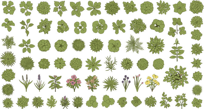 Top-down plant illustration, botanical foliage artwork, garden shrub design vector, ornamental greenery composition, landscape symbol, environmental concept