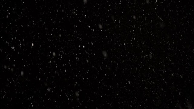 Real snow drifting with variable wind patterns against black background. Ultra-sharp 4K footage, isolated snowflakes perfect for compositing and winter-themed overlays.