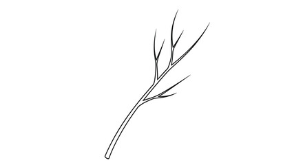 Obraz premium Simple black and white line art drawing of a single leafless tree twig with a few small branching offshoots on a plain background.