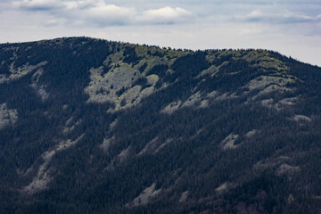 Fototapeta premium An immense mountainside shows patterns of spruce and pale stone shaped by wind and time. Diagonal textures carve the slope while a quiet sky adds a measured calm to the remote wild land