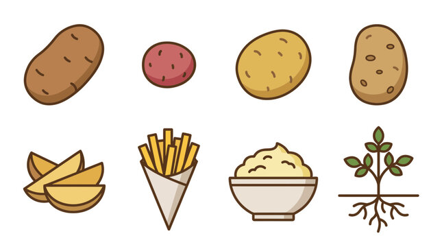 potato , flat color vector set collection , white background , PNG and SVG