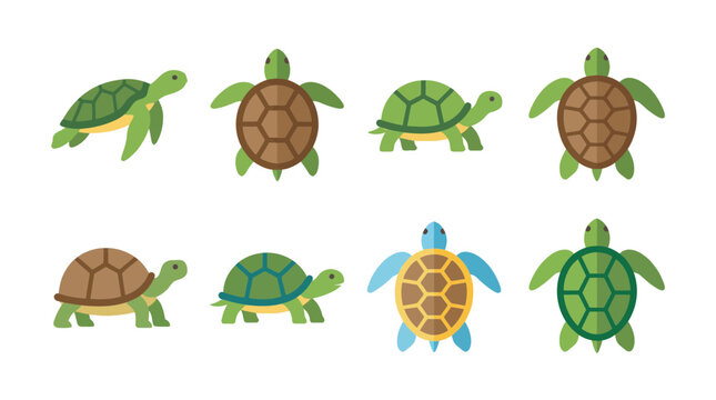 turtle , flat color vector set collection , white background , PNG and SVG