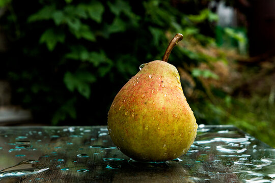 sweet fresh pear with water drops