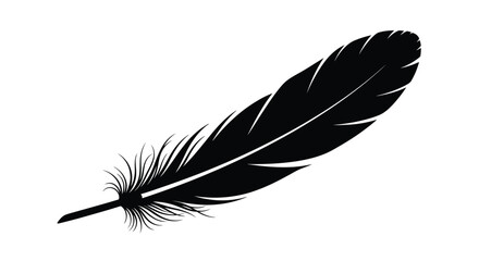 A single black feather illustration against a white background © Mstsalma