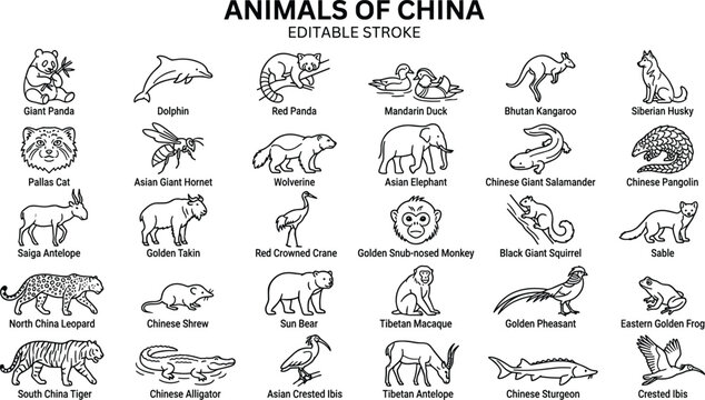 Chinese wildlife animals icons set with giant panda red panda crane tiger vector illustration collection for nature and biodiversity design