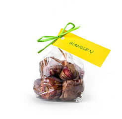 Verschiedne Blumenzwiebeln mit Etikett  Gladiolen