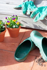 Fr&uuml;hlingsblumen in Terracotta Blument&ouml;pfen im Garten
