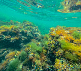 Obraz premium Mediterranean sea in Las Rotas coast marine reserve of San Antonio cape Denia Alicante province Spain