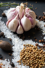 seasonings background with salt, Spices  and garlic served  at black. natural meal additives. healthy food concept. macro shot