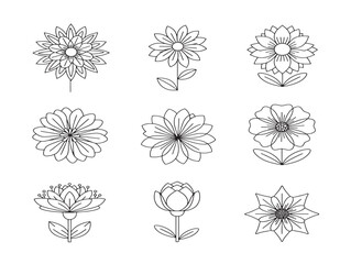 Obraz premium Stunning Flower Outline Vector Design for Creative Branding and Invitations
