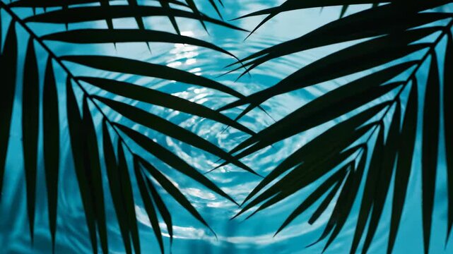 Serene Water Ripples: Capture the essence of tranquility with intricate water ripples beneath lush palm fronds, creating a mesmerizing interplay of light and shadow.