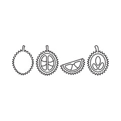 Line art illustration of a whole and sliced durian fruit displayed