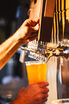 A man's hand pouring beer from a row of taps in the sunlight