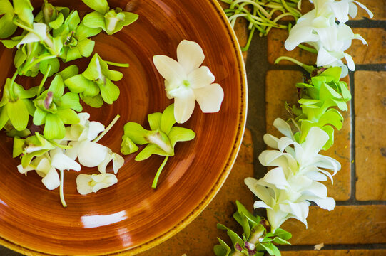 Closeup of white Hawaiian Plumaria tropical flowers arranged for making leis at a wedding in Maui, Hawaii